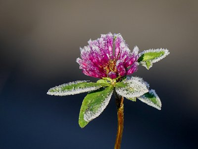 ..zima je i u nás....
