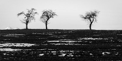 A je skoro po sněhu!!!