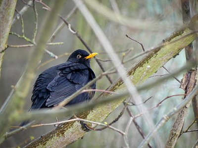 Už se těším na jaro....