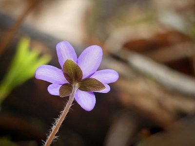 I zezadu mi to sluší....