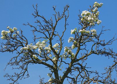 Žízeň po životě ♥