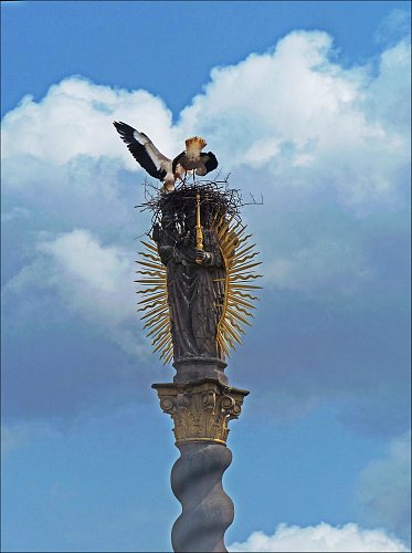 Na koruně broumovské Madony to žije