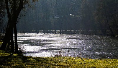 Mrazivé dopoledne u rybníka