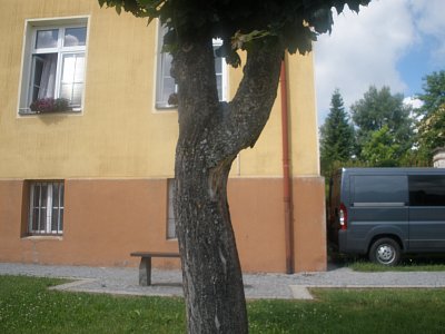 Hnědá je také dobrá.