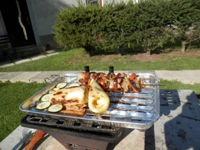 Mé jihočeské léto