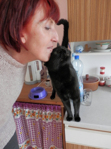 Kočičí prázdniny