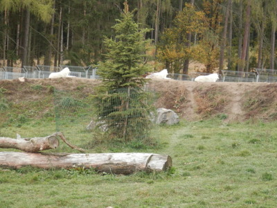 Zoo Tábor v říjnu