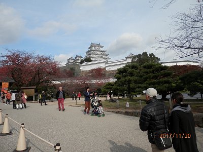 Japonský ostrov Šikoku v purpurové barvě podzimu