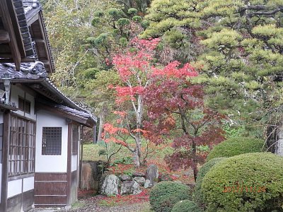 Japonský ostrov Šikoku v purpurové barvě podzimu