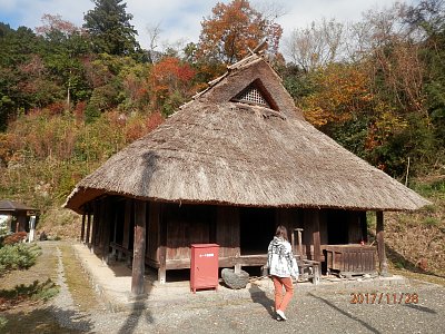 Japonský ostrov Šikoku v purpurové barvě podzimu