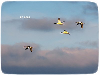 Klidný let rokem 2024