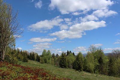 Krásnou jarní krajinou