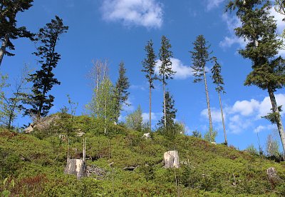 Obloha je krásně modrá