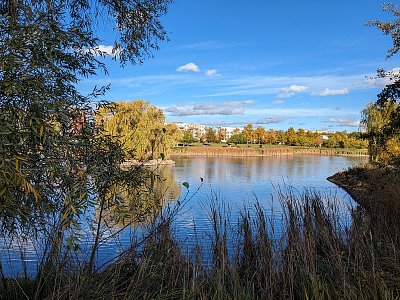 Stodůlecký rybník