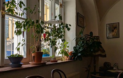 V útulné kavárně*