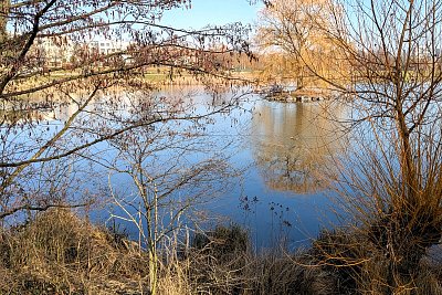 Ještě se nic nezelená