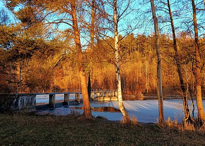 Podvečer u Trnávky*