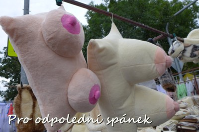 Polštářek na odpoledního šlofíčka