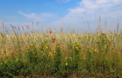 Červnové loučení