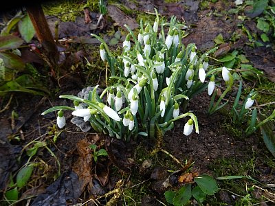 Přes noc roztál sníh...