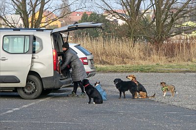 Proboha, pospěš si, zmrznem!