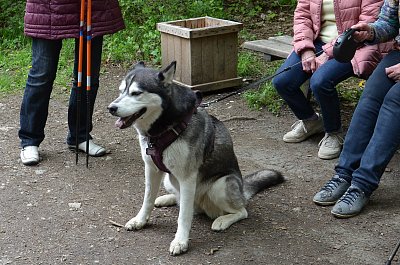 Úhel pohledu....všude samé nohy