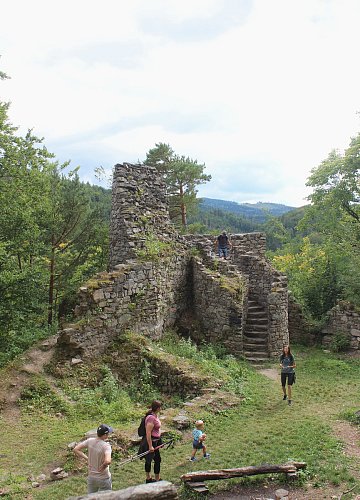 Najednou je tu živo