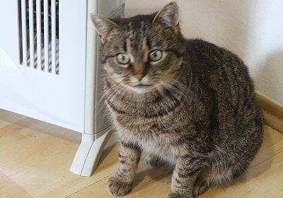 Vlastním jménem Toník