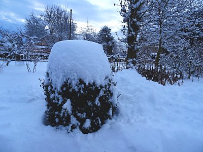 Ranní nadělění....