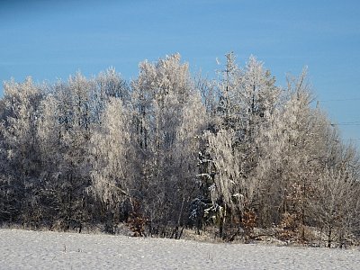 Ranní pohled z okna...