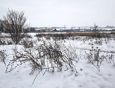 Třináctý leden u nás v Roudnici