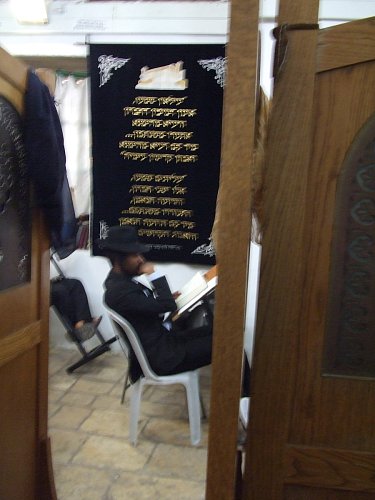 Rozjímání nad Tórou