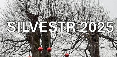 Silvestr, už tu máme zase Silvestr… a co s ním?