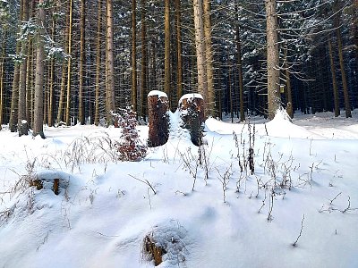 Smím prosit? No ale Vy jste si asi vůbec nevšiml, že ... *