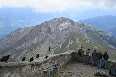 Na co tam tak dlouho civí ?