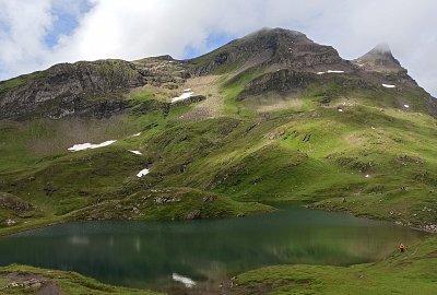 Pleso