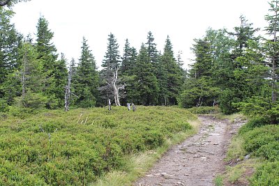 Do údolí až do Lipová lázní