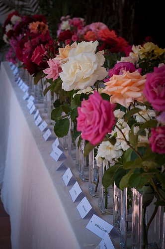 Slavnost růží.jpg