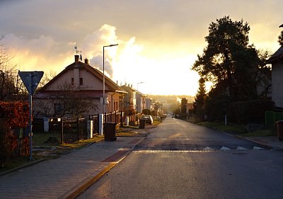Slunce ja za borovicí...
