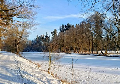 Slunečný den u Sázavy.