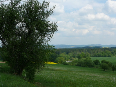 Vysočina na Pelhřimovsku