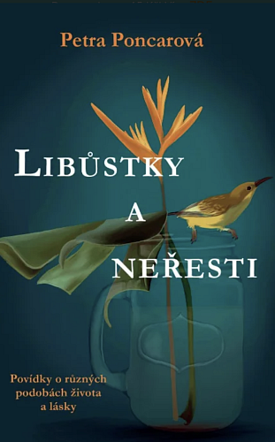 Snímek obrazovky 2023-06-22 v&nbsp;12.15.41.png