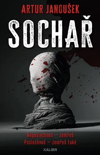 Snímek obrazovky 2023-06-22 v&nbsp;12.16.42.png