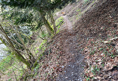 Snímek obrazovky 2024-05-20 v 15.06.28.png