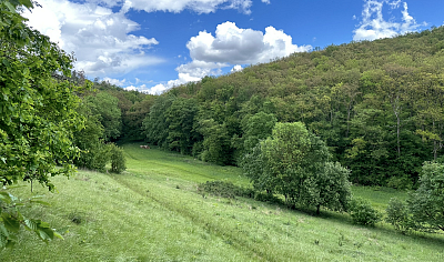 Kdo vyhrál v jarním soutěžení?