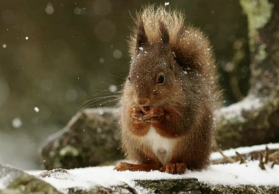 Snímek obrazovky 2026-02-15 v&nbsp;9.16.15.png