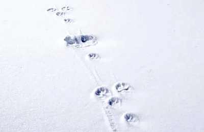 Snímek obrazovky 2026-02-15 v&nbsp;9.38.43.png