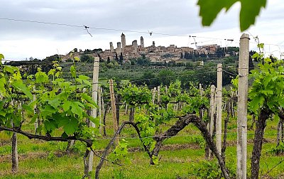 Všechny cesty vedou do… (1)