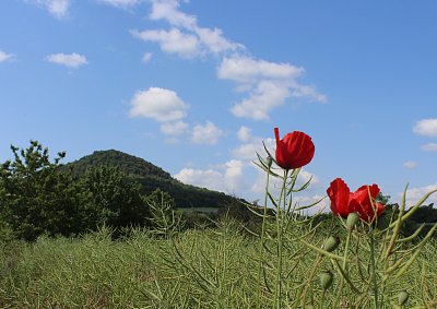 I v Českém Středohoří plují občas mráčky