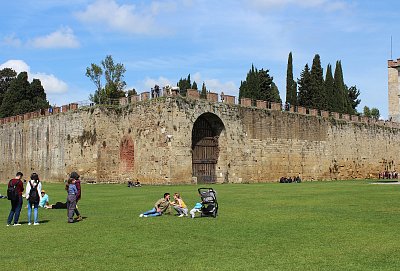 Odpočinek v trávě